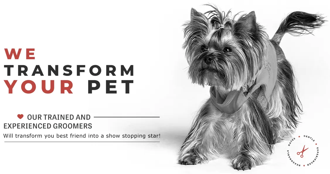 pet grooming parlour